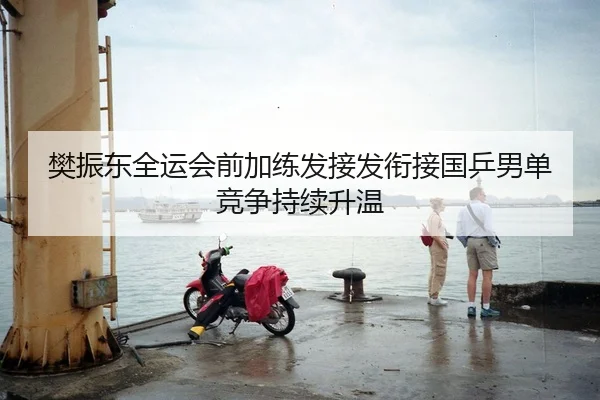 樊振东全运会前加练发接发衔接国乒男单竞争持续升温